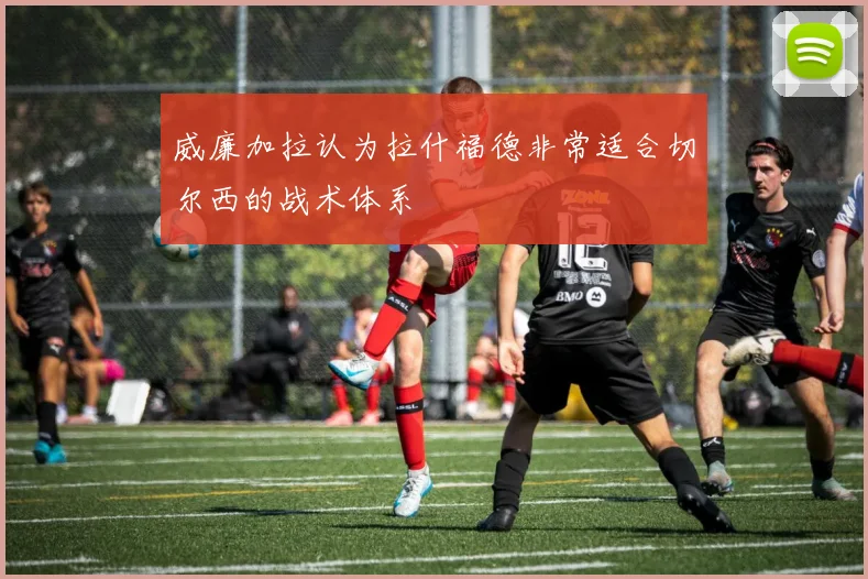 威廉加拉认为拉什福德非常适合切尔西的战术体系
